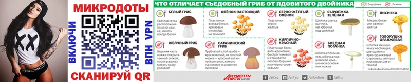 Купить  Баймак  Псилоцибиновые грибы Psilocybe 
