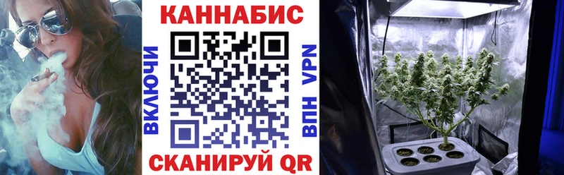 Купить закладки  Баймак  Канабис планчик 
